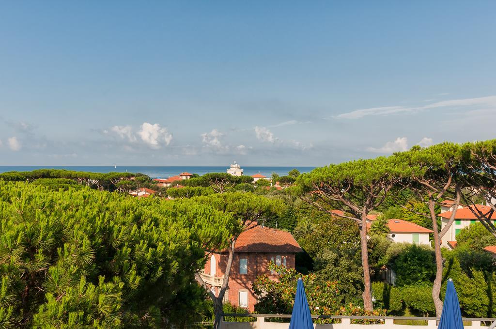 Hotel Le Ginestre Лідо-ді-Камайоре Екстер'єр фото